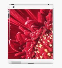 Red iPad Case/Skin