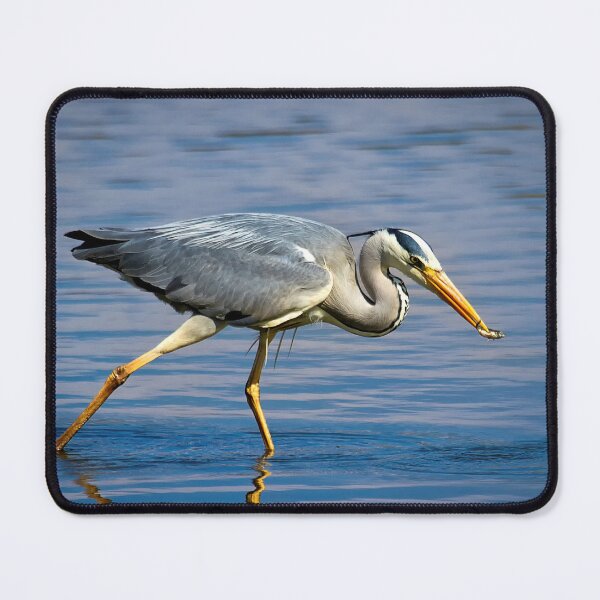 Item preview, Snack time for Grey Heron designed and sold by Violaman.