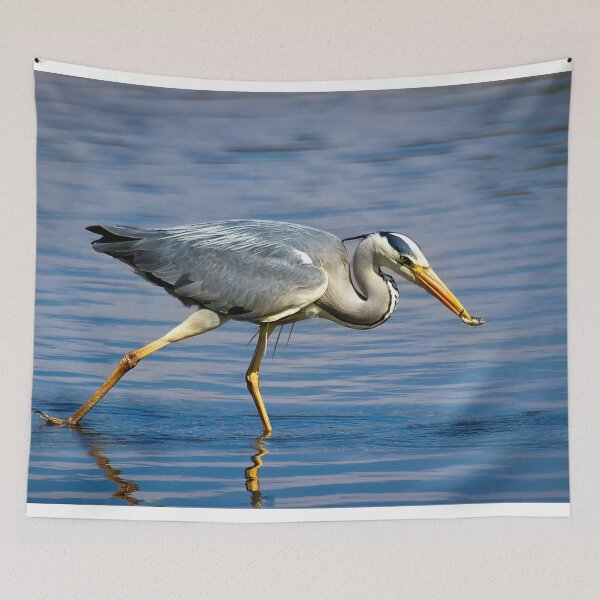 Item preview, Snack time for Grey Heron designed and sold by Violaman.