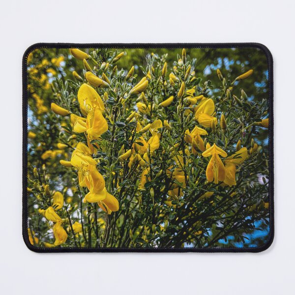 Item preview, Highland Fling designed and sold by Steve Walser.