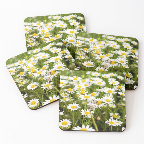 Item preview, Wild chamomile flowers on a field designed and sold by yanzappa.