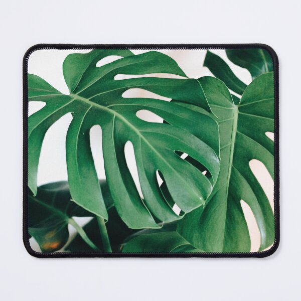 Item preview, Tropical Palm Leaf designed and sold by newburyboutique.