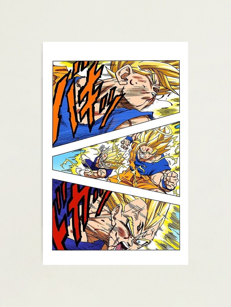 Dragon Ball Z Poster Goku SSJ3 and Vegeta SSJ2 12in x 18in Free Shipping