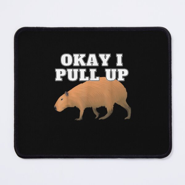 Pin by isabela on aleatório  Capybara, Funny animals, Animal memes