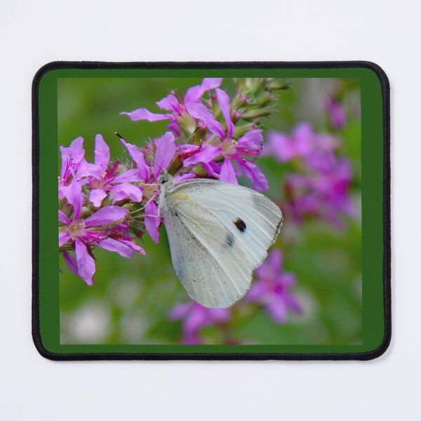 Item preview, cabbage butterfly designed and sold by kristana.