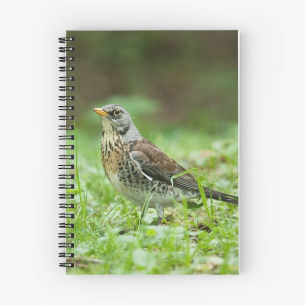 Item preview, Fieldfare designed and sold by Dominika Aniola.