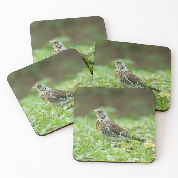 Item preview, Fieldfare designed and sold by Dominika Aniola.