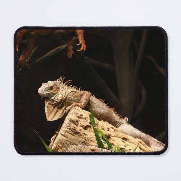 Item preview, Iguanas designed and sold by gritsandbits.