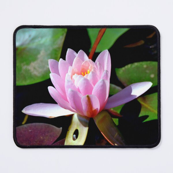 Item preview, Pink Lotus  designed and sold by Savannah Gibbs.