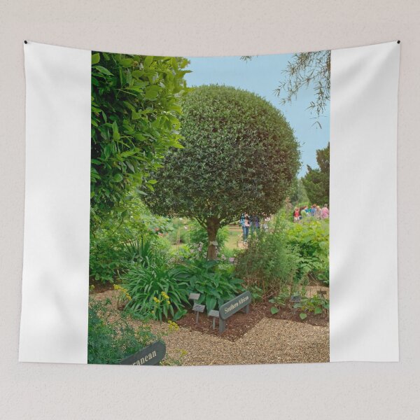 Item preview, Inside a Famous Chelsea Garden, London 44 designed and sold by Priscilla Turner.