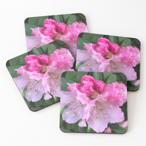 Item preview, Pink Rhododendron Celebration of Abundance designed and sold by Photomersion.