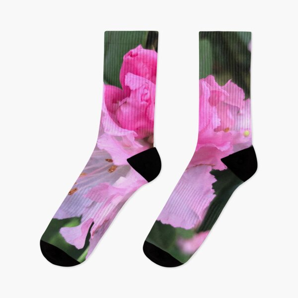 Item preview, Pink Rhododendron Celebration of Abundance designed and sold by Photomersion.