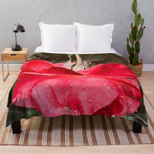 Item preview, Hang Loose with the Red Rose - Things Are Going to Get Better! designed and sold by Photomersion.