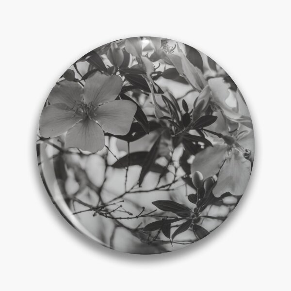 Item preview, White magnolia flower in spring - Black and white designed and sold by anafrancisconi.