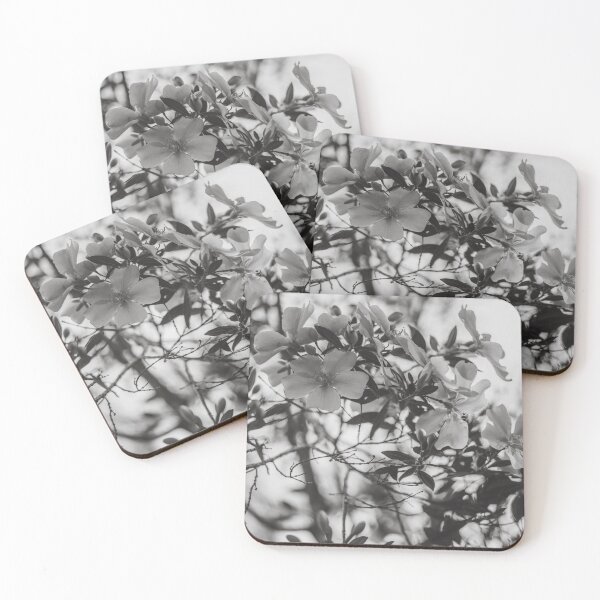 Item preview, White magnolia flower in spring - Black and white designed and sold by anafrancisconi.