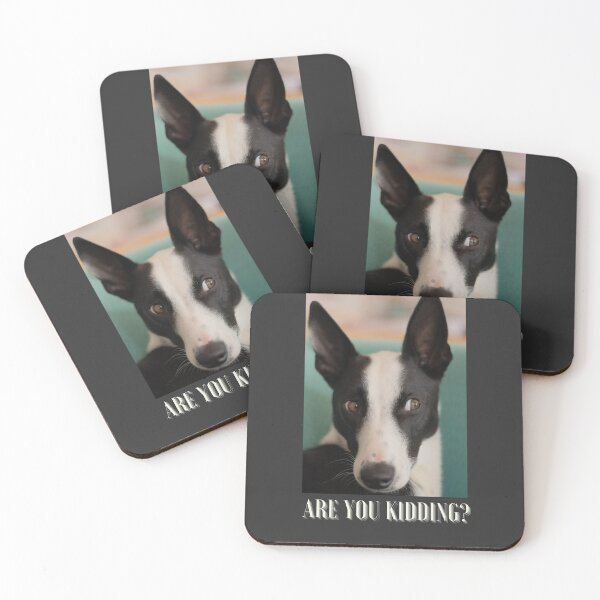 Item preview, My dog is kidding designed and sold by leenasobky14.