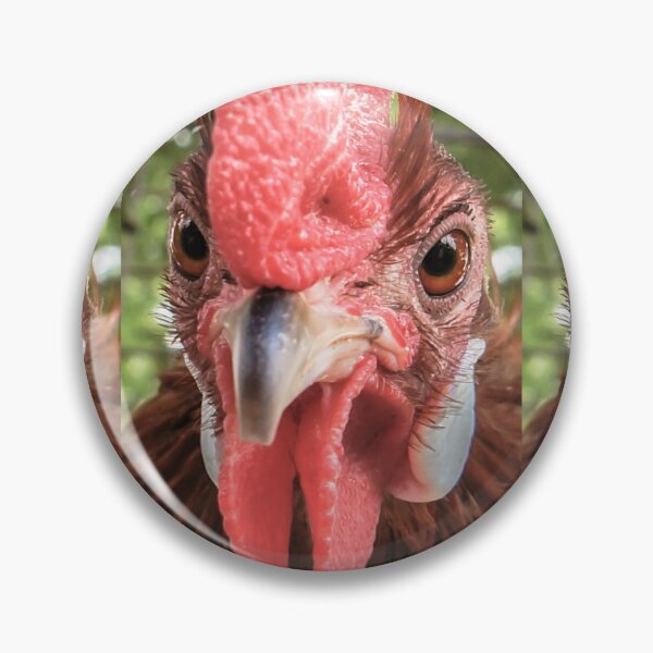 Item preview, Rooster Photography designed and sold by FlippinTurtles.
