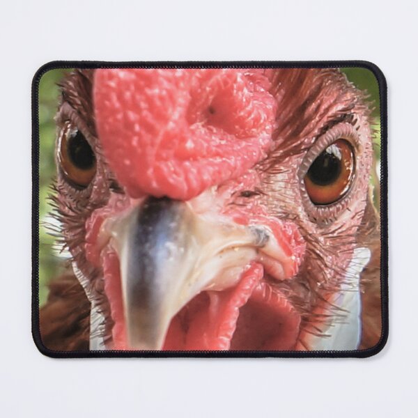 Item preview, Rooster Photography designed and sold by FlippinTurtles.
