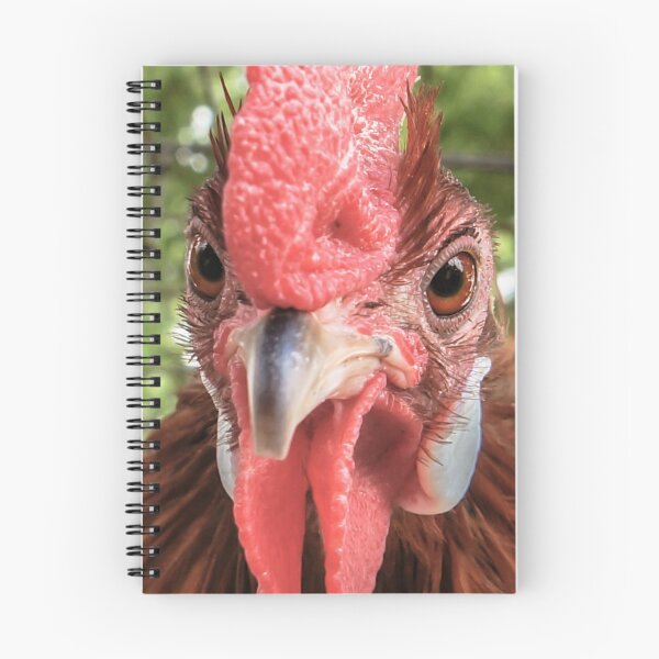 Item preview, Rooster Photography designed and sold by FlippinTurtles.
