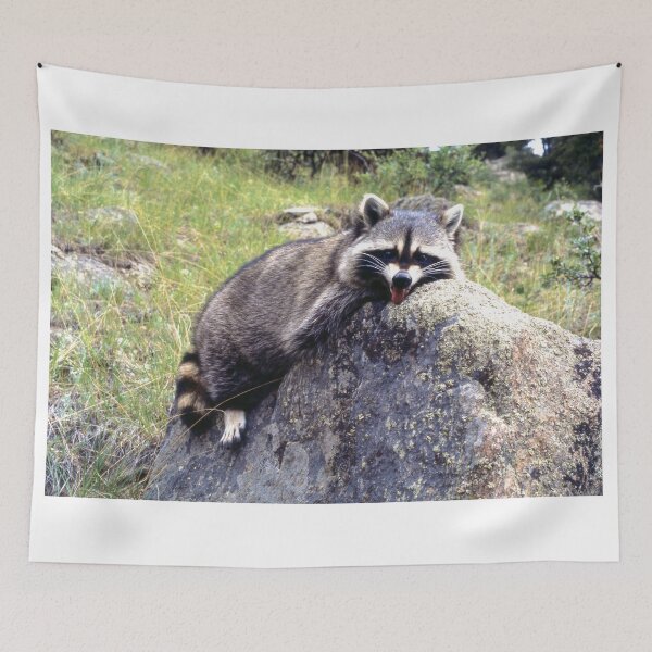 Item preview, Chillaxin! | Stanleigh and Friends designed and sold by stanleigh and Friends .