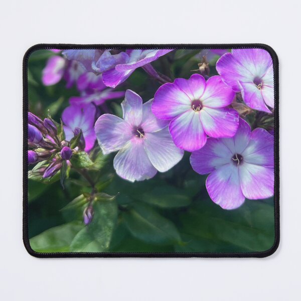 Item preview, Refreshing Newness of Wildflower Life in this Here and Now designed and sold by Photomersion.