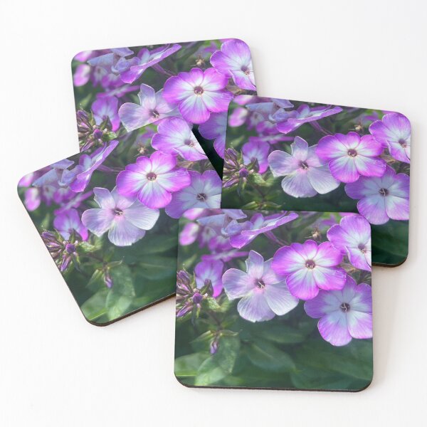 Item preview, Refreshing Newness of Wildflower Life in this Here and Now designed and sold by Photomersion.