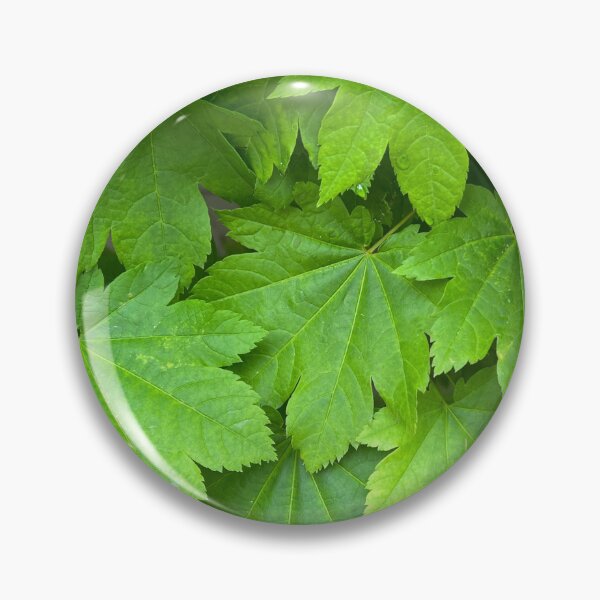 Item preview, The Green Leaves of our Sweet Earth  designed and sold by Photomersion.