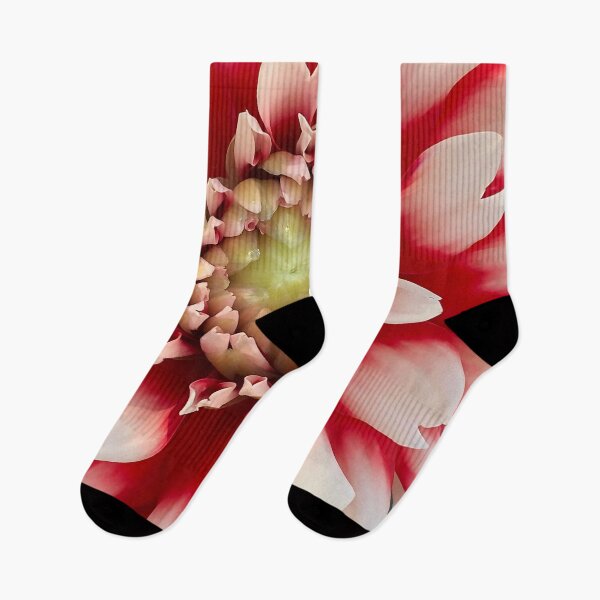 Item preview, Macro Red And White Dahlia Bloom designed and sold by KirtTisdale.