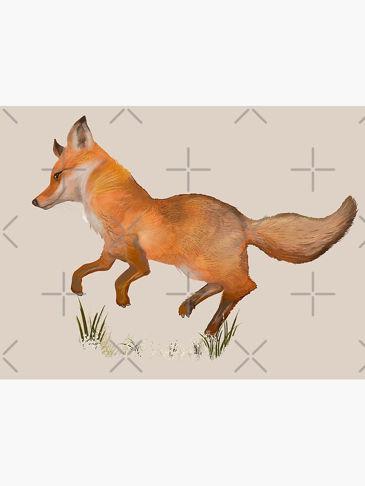 "Red Fox Interaction with Humans Interacting with Wild Foxes" Poster for Sale by SUNDigital123