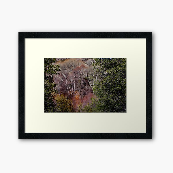 Simply Art of Nature Framed Art Print