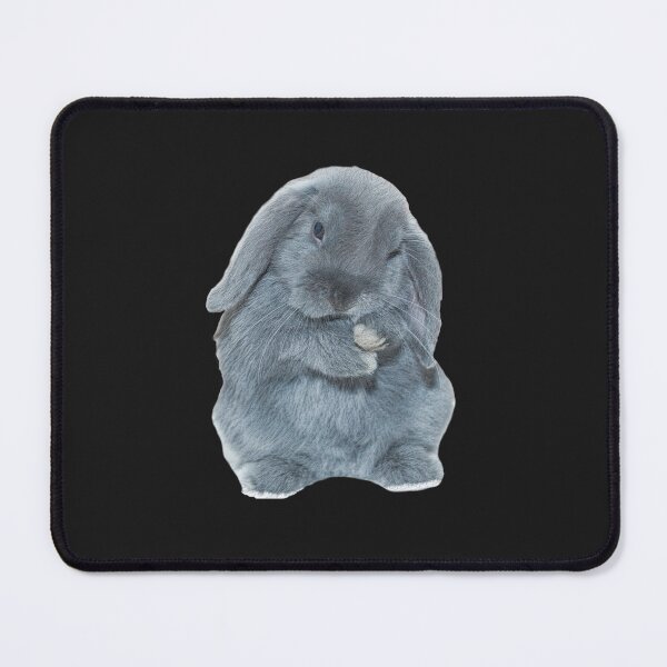 Item preview, A Grey Mini Lop Bunny Rabbit Art  designed and sold by RobertSchwart.