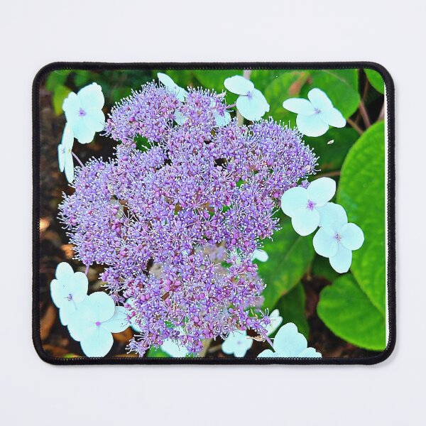 Item preview, Hydrangea Aspera Flower Design, Pastel Purple Floral designed and sold by Constant Readers.