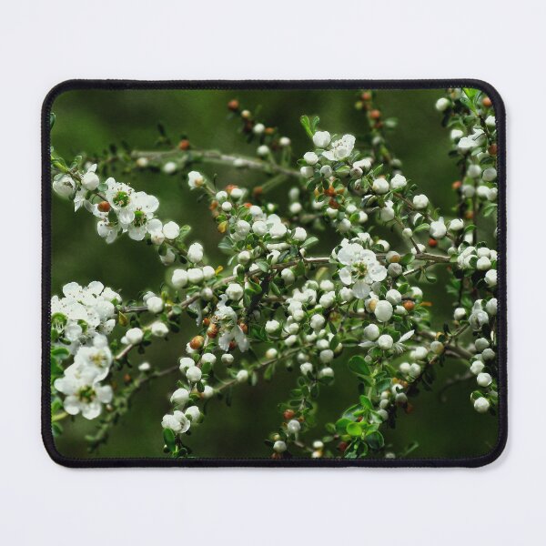 Item preview, Blossoms on Green - Leptospermum designed and sold by Marilyn Harris.