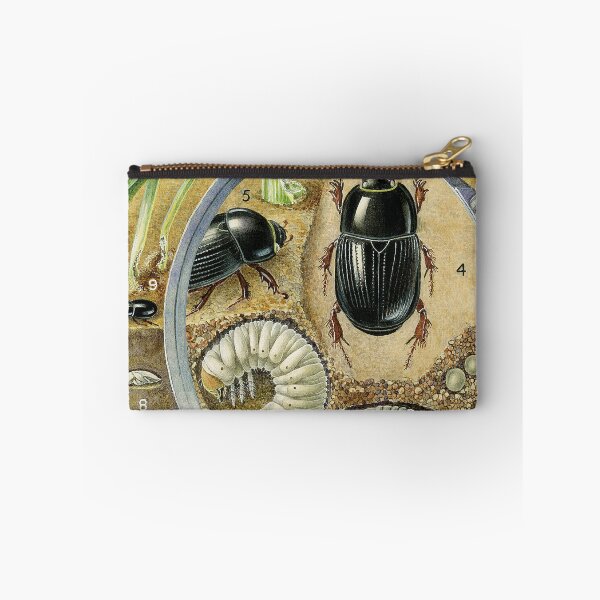 Item preview, Black Beetle designed and sold by BiosecurityColl.