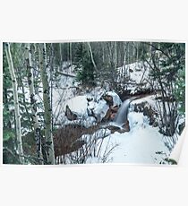 Snow Scene Poster
