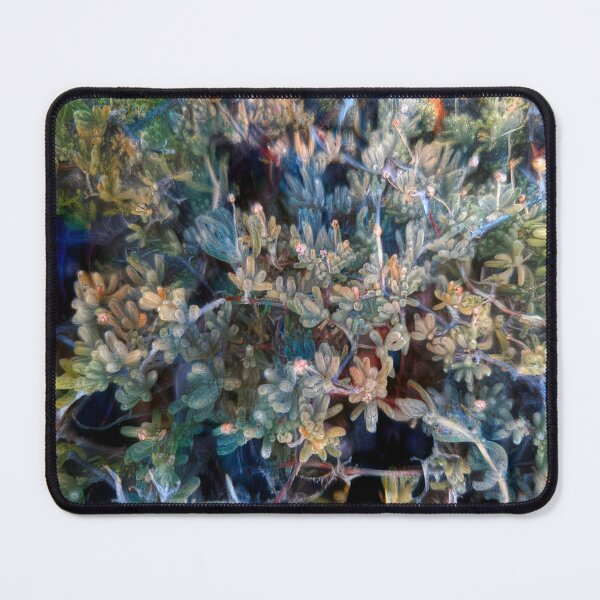 Item preview, Succulent Plant Drosanthemum Floribundum designed and sold by SanArtcisco.