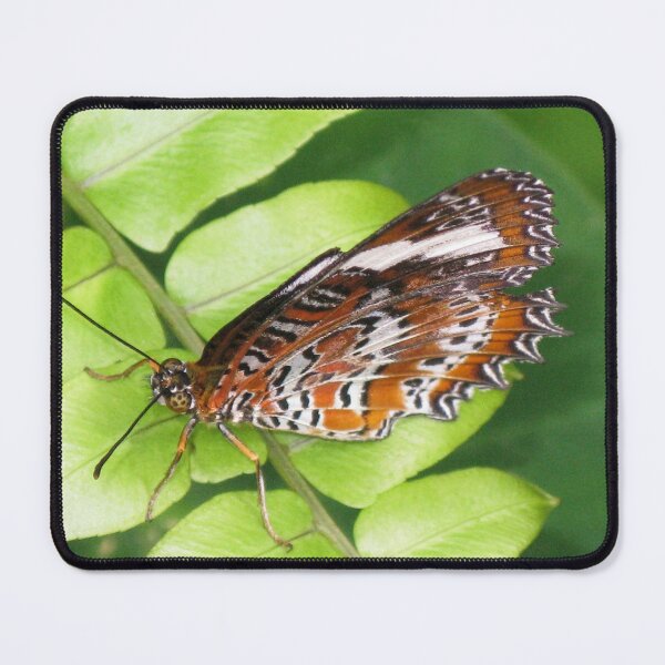 Item preview, Orange Lacewing Butterfly (Cethosia penthesilea) designed and sold by Marilyn Harris.
