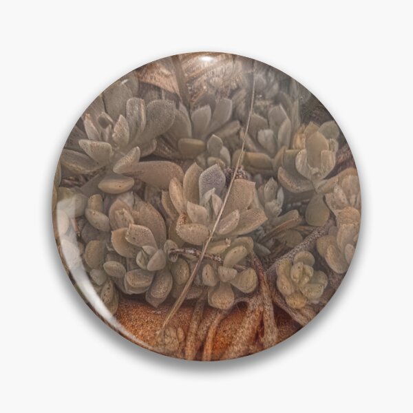 Item preview, Sedum Obtusatum Sierra Stonecrop designed and sold by SanArtcisco.