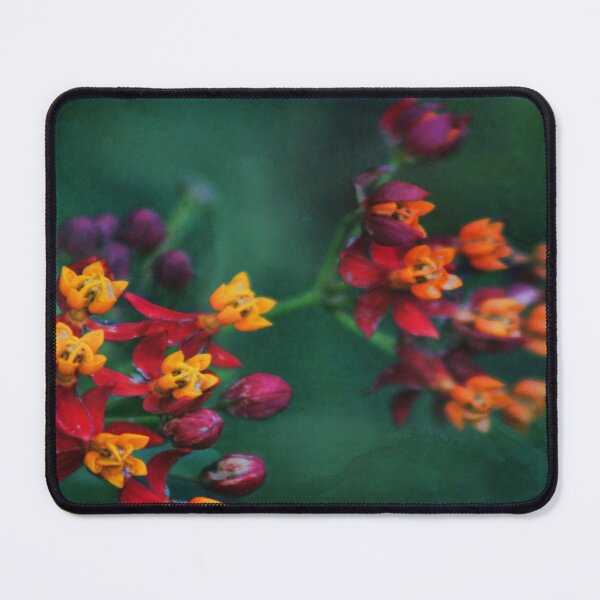 Item preview, The World of Tiny Wildflowers - (Asclepias curassavica) designed and sold by Marilyn Harris.