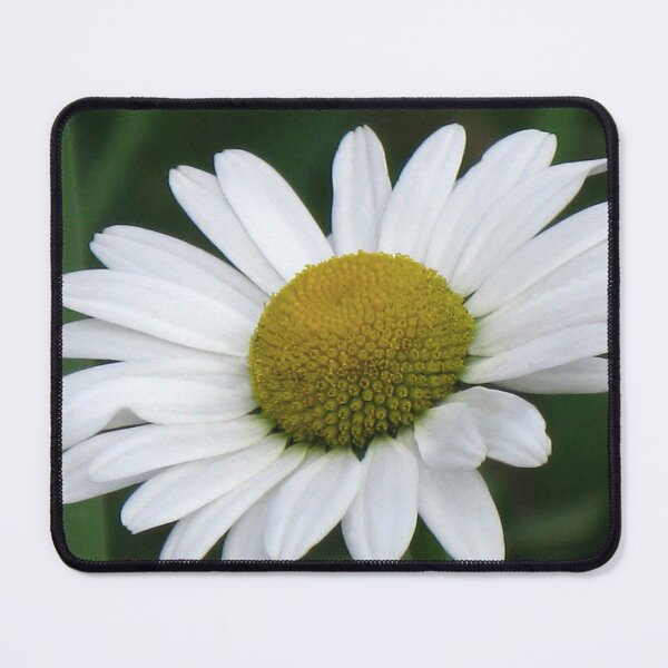 Item preview, White Daisy designed and sold by Marilyn Harris.