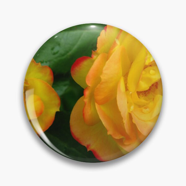 Item preview, Miniature Chameleon Roses (Rosa Chameleon) designed and sold by Marilyn Harris.