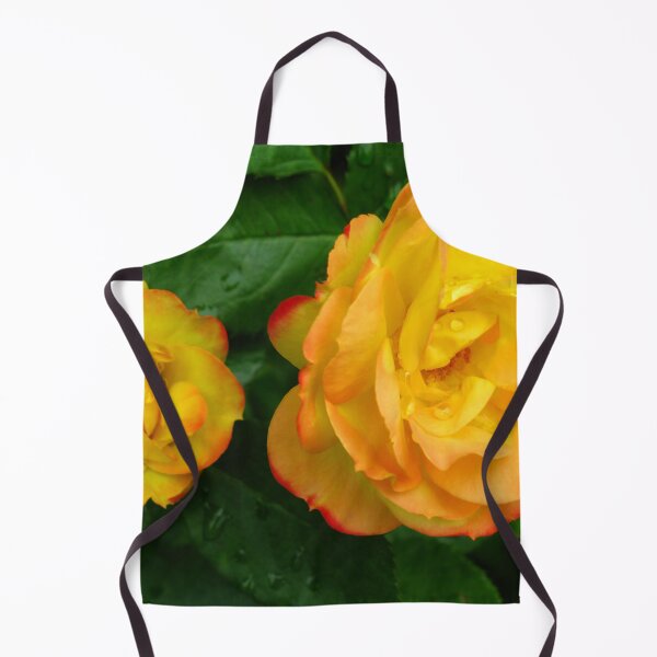 Item preview, Miniature Chameleon Roses (Rosa Chameleon) designed and sold by Marilyn Harris.