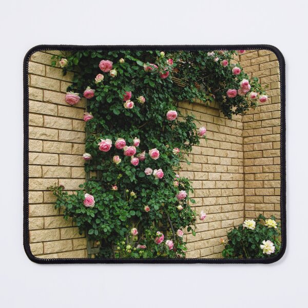 Item preview, "Nahema" Climbing Rose - My Garden designed and sold by Marilyn Harris.