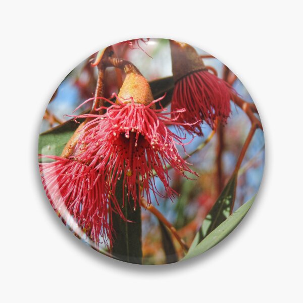 Item preview, Flowers of a Red Flowering Gum designed and sold by Marilyn Harris.