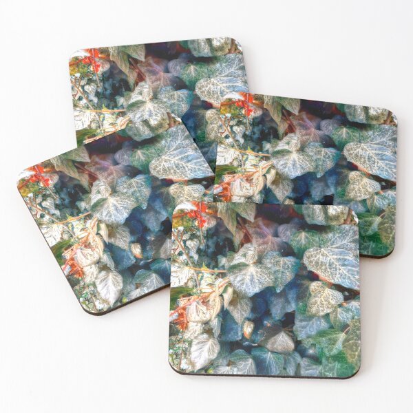 Item preview, Persian Ivy Hedera Colchica Plants (01) designed and sold by SanArtcisco.