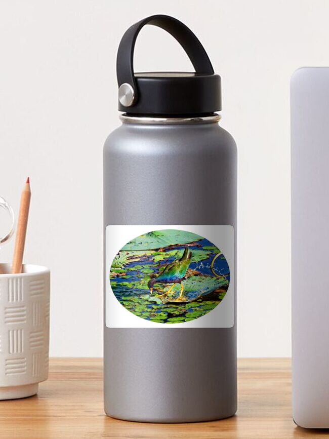 Thumbnail 1 of 3, Sticker, Feeding time for the Purple Gallinule designed and sold by tkdgirlms.