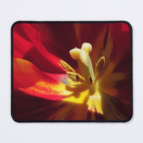 Item preview, Shaddow and Light of a Tulip's Heart designed and sold by Marilyn Harris.