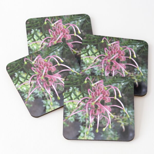 Item preview, Grevillea rivularis (Carrington Falls Grevillea) designed and sold by Marilyn Harris.