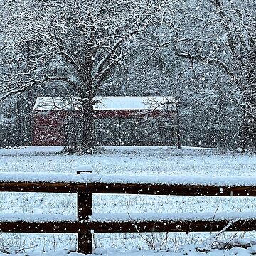 Artwork thumbnail, Rare MS snow at the Refuge by tkdgirlms