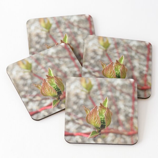 Item preview, Textured Bud - Nature's Beauty! designed and sold by Marilyn Harris.